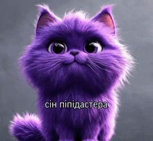 a picture of a purple cat with a caption in russian