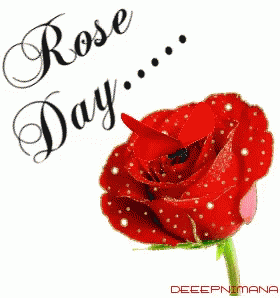Rose Day For You GIF - Rose Day For You Flowers For You - Discover & Share  GIFs
