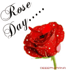 Rose Day For You GIF - Rose Day For You Flowers For You GIFs