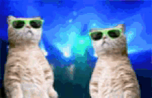 GIF