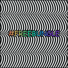 Free Bungle Nas GIF - Free Bungle Nas Illmatic GIFs