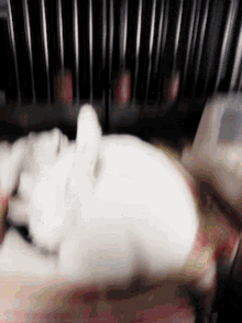 a white rabbit is laying down on a bed