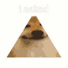 I Asked Pyramid GIF - I Asked Pyramid Doge GIFs