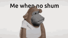 Shum Monkey Shum GIF - Shum Monkey Shum Shummer GIFs