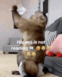 Monkey Not GIF - Monkey Not Reading GIFs