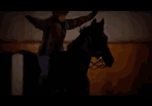 a man is riding a horse in a dark room