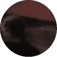 a pixelated image of a blue and black circle with a white border