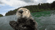 Joe Romula7 Ro A GIF