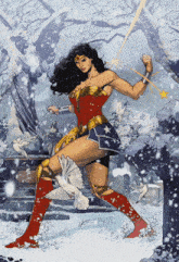 a painting of wonder woman in the snow with birds
