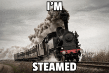 Steamed Train GIF