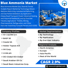 Blue Ammonia Market GIF - Blue Ammonia Market GIFs