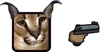 a picture of a cat next to a picture of a gun