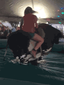 Rodeo Bull Riding GIF - Rodeo Bull Riding Mechanical Bull GIFs