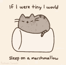 Sleeping On A Marshmallow Cute Cat GIF - Sleeping On A Marshmallow Cute Cat Good Night GIFs