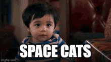 Space Cats GIF - Space Cats GIFs
