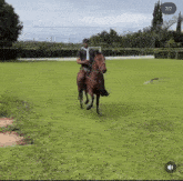 a man riding a horse in a field with the number 7/17 visible