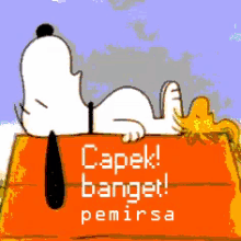 Capek GIF - Snoopy GIFs