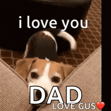 I Love You Dad Wagging Tail GIF - I Love You Dad Wagging Tail Dog GIFs