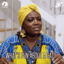Whats Fun About A Cat Whats Wrong With Cats GIF - Whats Fun About A Cat Whats Wrong With Cats Cats GIFs