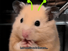 a close up of a hamster with the words los ocnitis se lo llevaron