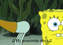 Shake It Anaconda GIF - Shake It Anaconda Big Booty GIFs