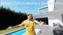 Cat Pegadinha Pegadinha Da Cat GIF - Cat Pegadinha Pegadinha Da Cat GIFs