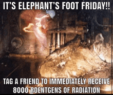 Elephant'S Foot GIF - Elephant'S Foot GIFs