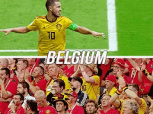 Belgium World Cup GIF