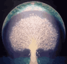 Magical Tree GIF - Magical Tree Wonderful GIFs