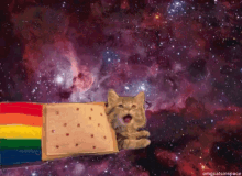 Cat Pop Tart GIF - Cat Pop Tart Rainbow GIFs