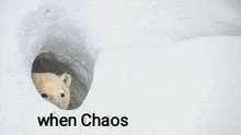 When Chaos Yahay GIF - When Chaos Yahay Canvaspixel GIFs
