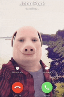 a man wearing a pig mask is on a phone call