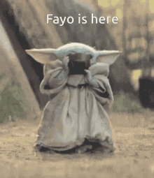 Fayo Is Here Fayo GIF
