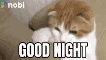 Good Night Night GIF - Good Night Night Malam GIFs