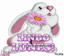 a picture of a bunny with a pink flower in its mouth and the words lindo lunes
