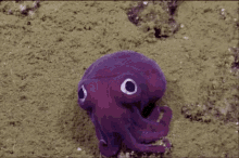 Squid Stare GIF - Squid Stare GIFs