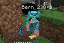 a screenshot of a person in a minecraft game with the name fern 238