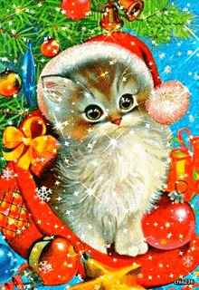 Santa Cat Santa Kitty GIF - Santa Cat Santa Kitty Santas Helper GIFs