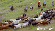 Herding The Cowboy Way GIF - Herding The Cowboy Way Cowboys GIFs