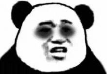 a panda bear with a black eye and a funny face .
