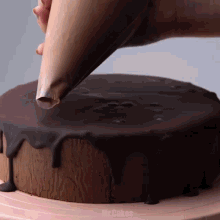 a person is frosting a chocolate cake with a piping bag that says mr.cakes
