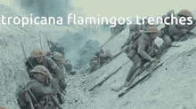Flamingos GIF - Flamingos GIFs