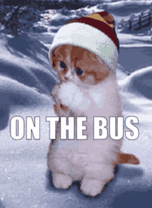 On The Bus Cold GIF - On The Bus Cold Cat GIFs
