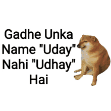 Udhaybrine Udhayuday GIF