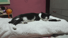 a black and white cat is laying on a white blanket on a bed