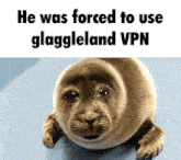 a seal with the words he was forced to use glaggleland vpn above it