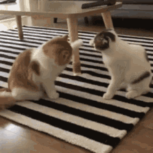 GIF
