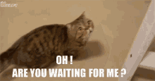 Are You Waiting For Me Sorry GIF