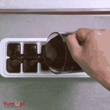 a person pouring liquid into an ice cube tray that says yum up on it