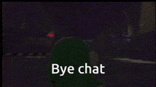 a green balloon is sitting next to a pink balloon and the words `` bye chat '' .
